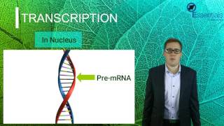 SACE2 Biology Essentials Concept Video - Protein Synthesis