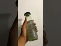 ￼ കസ്കസ് lime juice 🥤 make by sis 💕 homemade 2023 shortvideo juice fresh