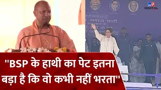 Haryana Election 2024: 'BSP के हाथी का पेट इतना बड़ा है कि वो कभी नहीं भरता' | CM Yogi | #tv9d