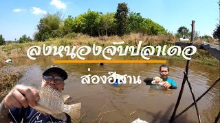 วิถีบ่าวไทบ้าน! หว่านแหจับปลา กินข้าวทุ่งนา ปะทะ วงบำเรอ | ส่องอีสาน EP.37