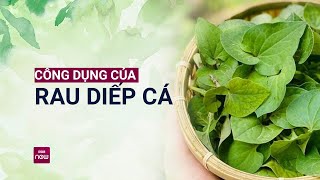 Ăn rau diếp cá, uống rau diếp cá: Kiểu gì cũng có lợi cho sức khỏe | VTC Now