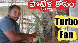 గొర్రె పొట్టేళ్లకు ఫ్యాన్లు పెట్టాలి.. జాగ్రత్తగా పెంచాలి | Sheep Farming | రైతు బడి