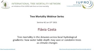 ITMN Seminar #2 - Amazon tree mortality across local hydrological gradients