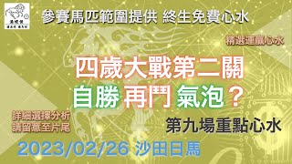 港經佬賽馬貼士及分析｜第九場參賽馬匹資料｜26-02-2023 沙田十場日馬泥草混合賽事｜免費心水及賽馬貼士｜全方位博彩及投資頻道｜足球｜賽馬｜股票｜樓市 #賽馬貼士