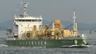 セメント船 第三十三すみせ丸 ナラサキスタックス - MV SUMISE MARU NO.33 2020NOV - Shipspotting Japan