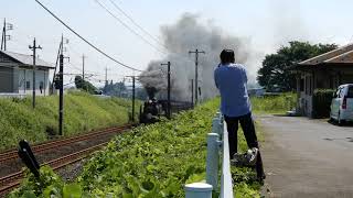 【鉄道動画】SLレトロ碓氷 赤プレートD51 498 2017.9.10 信越本線