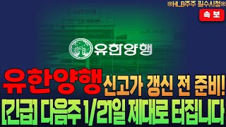 [유한양행] 신고가 갱신 전 준비! [긴급] 다음주 1/21일 제대로 터집니다.