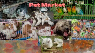 Pet Market // Trichy // Ponmalai Santhai // cheapest pet Market in Trichy