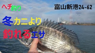 冬のエサはカニだけではない　ヘチ釣り富山24-62