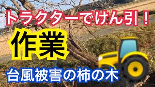 一人・農業・田舎暮らし今日はトラクター作業柿の木けん引