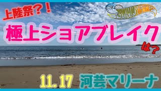 【河芸マリーナ】11.17