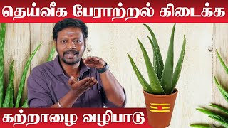 Katralai Benefits in Tamil | வீடு சுபிக்ஷமாக இருக்க கற்றாழையை பூஜை முறை | Aloe Vera Astrology