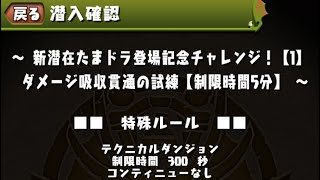 新潜在たまドラ登場記念チャレンジ！【1】ダメージ吸収貫通の試練【制限時間5分】