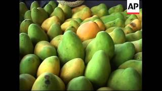 AP looks at Haiti's mango industry, one of nation's biggest exports