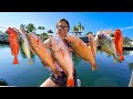 We Caught EVERY SPECIES! NONSTOP Action! Catch, Clean & Cook! Boca Raton, Florida Fishing