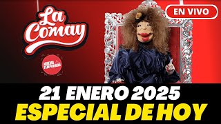 🔴La Comay Hoy En Vivo MARTES, 21 de ENERO 2025 #teleonce #lacomay #lacomayenvivo