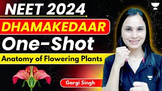 Anatomy of Flowering Plants | Dhamakedaar One Shot | Part-2 | NEET 2024 | Dr. Gargi