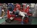 bench press 127.5kg