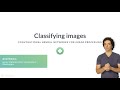 Python Tutorial: Classifying images