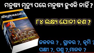 ମନୁଷ୍ୟ ମୃତ୍ୟୁ ପରେ ମନୁଷ୍ୟ ହୁଏ କି ନାହିଁ ? ୮୪ ଲକ୍ଷ୍ୟ ଯୋନି କଣ ? @jibanrahashya