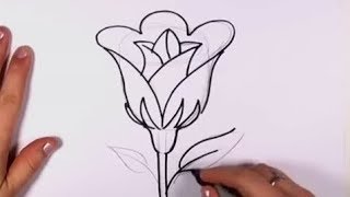  Cara  Menggambar  Bunga  Matahari Sketsa  Bunga  Mawar Rahman 