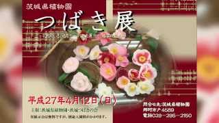 茨城県植物園 つばき展【お知らせ】