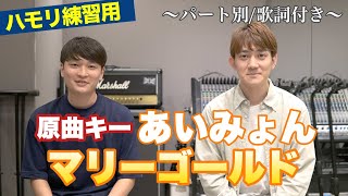 【ハモリ練習用】マリーゴールド（原曲キー）/あいみょん - パート別/歌詞付き　カラオケで使える！はず！