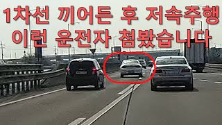 사상 최악의 고속도로 1차선 저속주행 빌런 목격