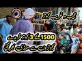 1500 Ky 3 Kabootar Khareedy || Lari Adda Kabootar Mandi || Latest Update