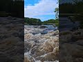 river in kuusa finland 🇫🇮 amazing nature water green plants leaves ecofriendly sustainable