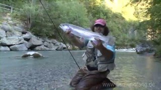 Fliegenfischen in Kärnten