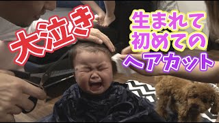 赤ちゃん 初めてのヘアカットに大泣きでパパママ悪戦苦闘！！