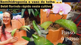 🔴SUAS PHALAENOPSIS VAI ENRAIZAR MUITO E FLORIR RAPIDAMENTE❗️➡️Passo de passo do vaso de telha⬅️