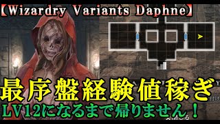 【ウィザードリィダフネ(WizardryVariantsDaphne)】最序盤経験値稼ぎ＆派遣用新キャラ経験値稼ぎはここで決まり！【動画を見ながらのんびりやろう】