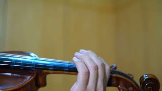 北京歡迎你 小提琴 violin ヴァイオリン