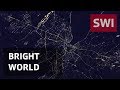 How light pollution affects wildlife