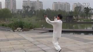 Appreciation of Shi-style BaguaZhang Routines  '史式八卦掌'