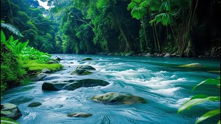 Relaxing Water Sounds-No Birds. 4k River White Noise to Sleep - Deep Forest Mountain Stream flowing