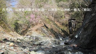 20220410　西丹沢　山神悪沢取水口経路～山神沢～山神峠～椿丸（周回）