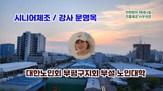 세월 역주행 시니어체조(23-14강)/인기 강사 문명옥/부평노인대학/대한노인회