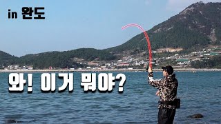 갑자기 완도! 이렇게 잡혀? | 바다낚시 [with 신현민]