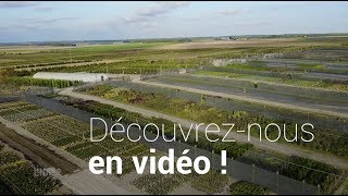 Vente plantes, végétaux, arbustes, arbres fruitiers, conifères (77) :PEPINIERES L'ORME MONTFERRAT