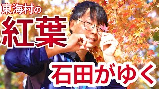 【石田がゆく第11回】紅葉を見に行こうよう！