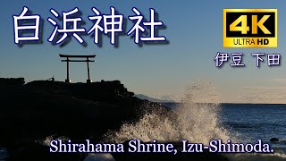 4K Shirahama Shrine, Izu-Shimoda. Red Torii Gate at Daimyojin Iwa : 白浜神社  伊豆下田  大明神岩の赤鳥居  白浜海岸 下田 伊豆