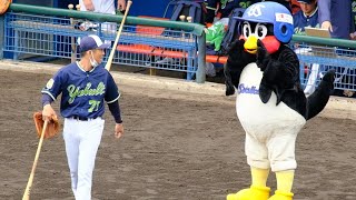 2022.2.21 東京ヤクルトスワローズ春季キャンプ第5クール3日目ハイライト