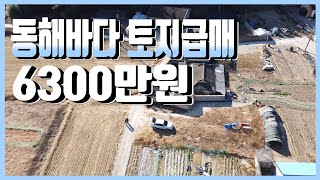 2027 경북 경주시 감포읍 오류리,동하바다 토지급매,6300만원