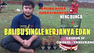 BALIBU SINGLE KERJANYA EDAN