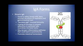 Selective IgA Deficiency