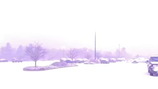 Historic Lake Effect THUNDERSNOW!