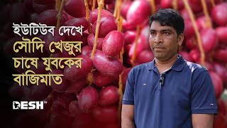 ইউটিউব দেখে সৌদি খেজুর চাষে যুবকের বাজিমাত | Chapai Nawabganj | Date Palm Cultivation | Desh TV